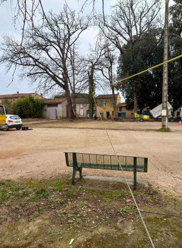 Abattage d'un chêne vert