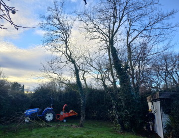 Abattage par démontage à Muret 