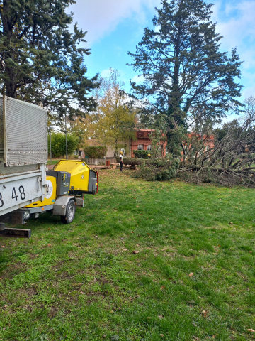 Elagage et abattage d'un parc à Saint Sulpice sur Lèze 